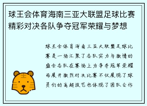球王会体育海南三亚大联盟足球比赛精彩对决各队争夺冠军荣耀与梦想